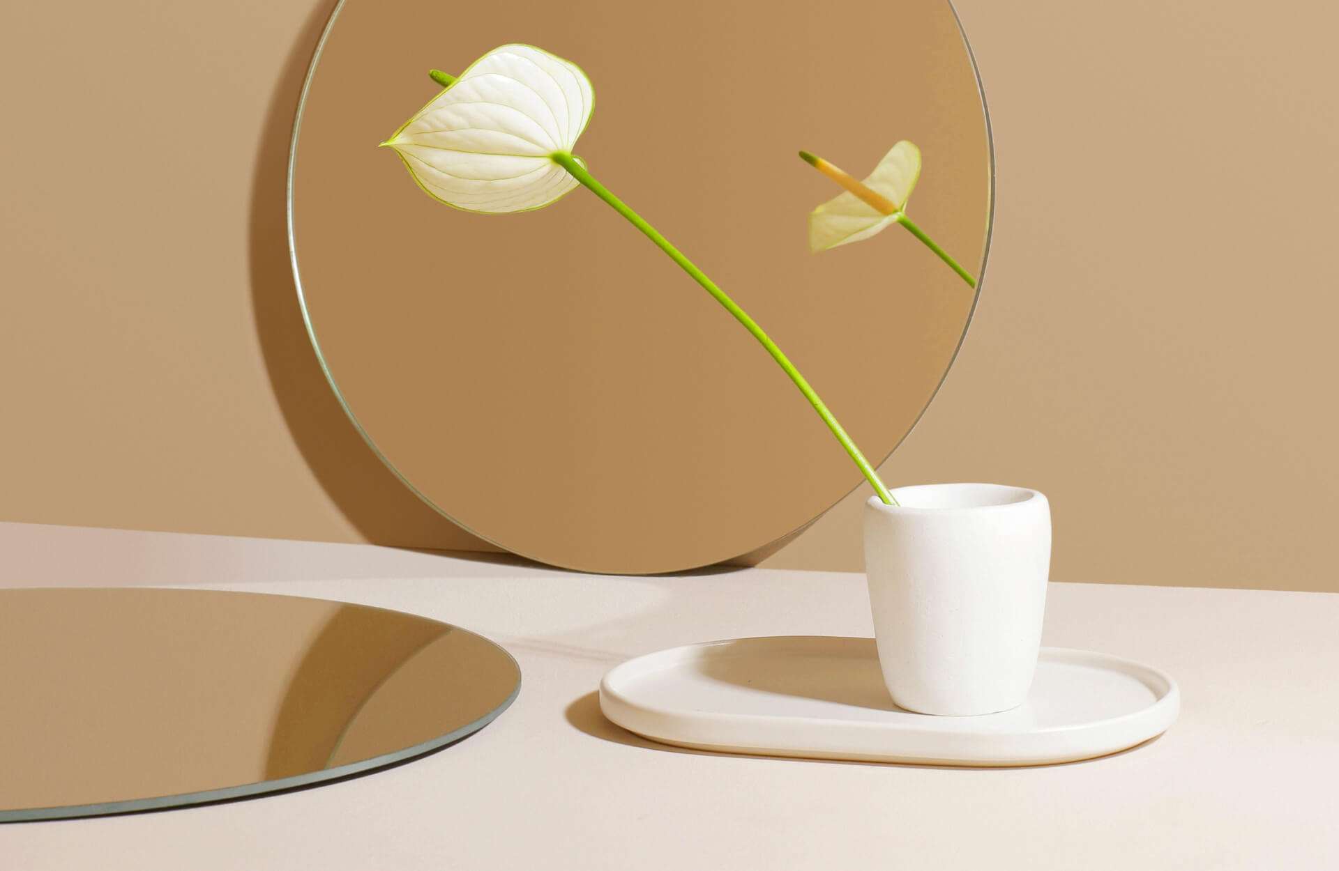 Custom Software Development